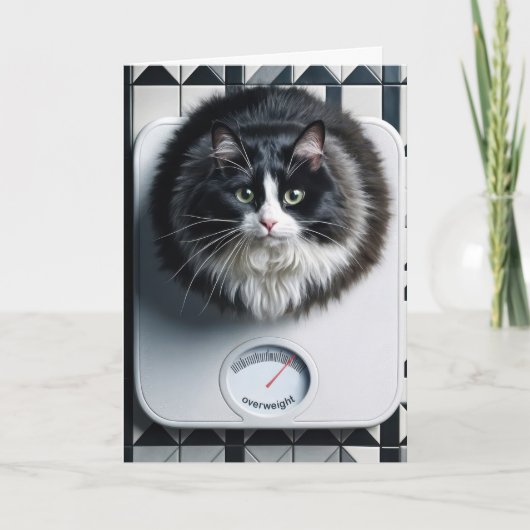 ダイエットユーモア 猫 体重計の上 カード (正面)