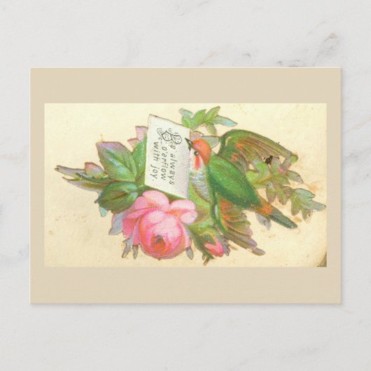 ダイカッビクトリアントはがき ポストカード (正面)