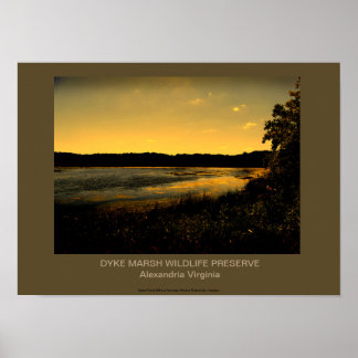 ダイク湿地の野生生物保護区 ポスター
