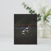 ダイサギ(Ardea alba) ポストカード (スタンド正面)