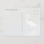 ダイサギ（Ardea alba）鳥 ポストカード (裏面)