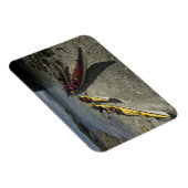 ダイジェボックス島のカヤック島の壊れた島グループ、 マグネット (右側)