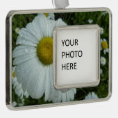 ダイジーに降る雨滴 I ワイルドフラワー 花 シルバープレートフレームオーナメント (右)