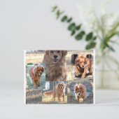 ダイナのはがき ポストカード (スタンド正面)