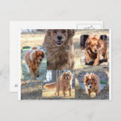 ダイナのはがき ポストカード (正面/裏面)