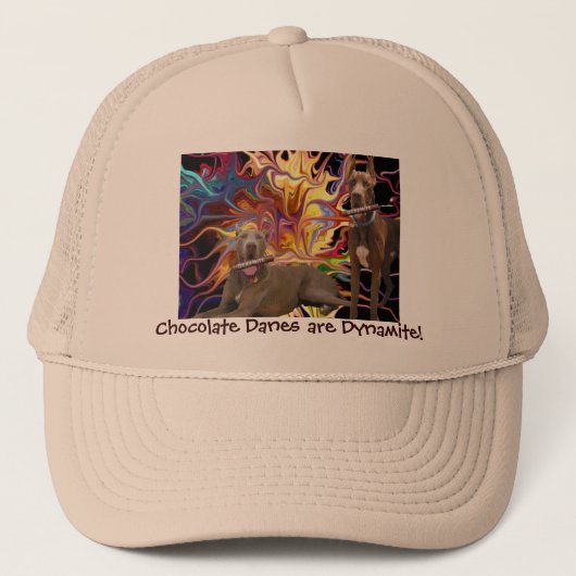 ダイナマイトのデンマーク人の帽子 キャップ (正面)