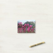 ダイナミック射撃、 発砲星 ポストイット (デスク上)