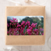 ダイナミック射撃、 発砲星 ラベル (インサイチュ)