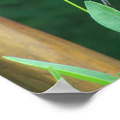 ダイニングゴールドフィンチ ポスター (角)