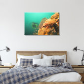 ダイバーとカサゴ科の魚 Scorpanopsis キャンバスプリント (インサイチュ (寝室))