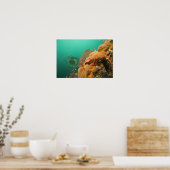 ダイバーとカサゴ科の魚 Scorpanopsis ポスター (キッチン)