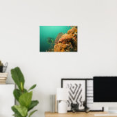 ダイバーとカサゴ科の魚 Scorpanopsis ポスター (ホームオフィス)