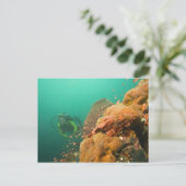 ダイバーとカサゴ科の魚 Scorpanopsis ポストカード (スタンド正面)