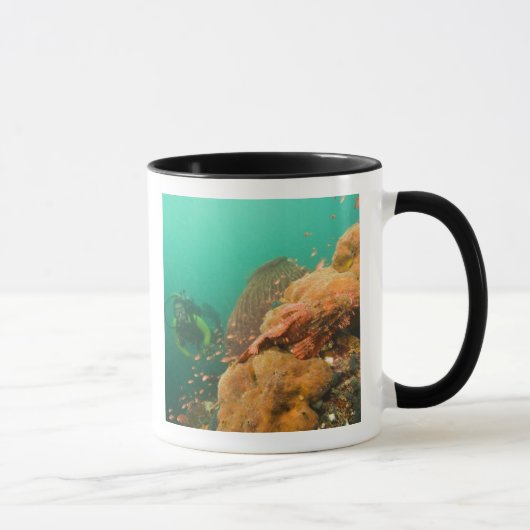 ダイバーとカサゴ科の魚 Scorpanopsis マグカップ (右)
