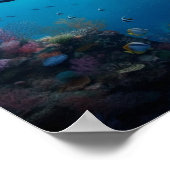 ダイバーは岩礁の中に城を見つける ポスター (角)