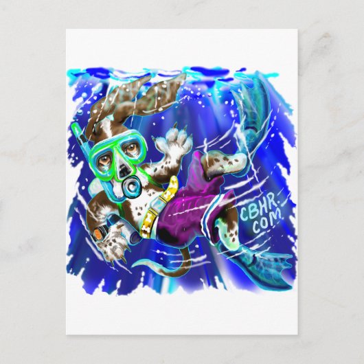 ダイバードッグ ポストカード (正面)