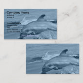 ダイビングのイルカの名刺 名刺 (正面/裏面)