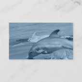 ダイビングのイルカの名刺 名刺 (裏面)