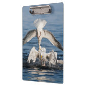 ダイビングガルズ クリップボード (左)