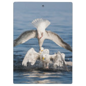 ダイビングガルズ クリップボード (裏面)