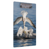 ダイビングガルズ クリップボード (右)