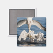 ダイビングガルズ マグネット (正面/裏面)