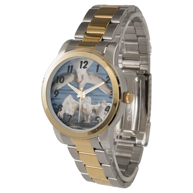 ダイビングガルズ 腕時計 (アングル)