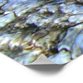 ダイビングターファント ポスター (角)