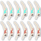 ダイビング シール (正面)