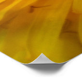 ダイファルベジェーブ ポスター (角)