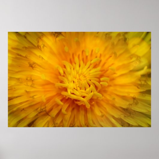 ダイファルベジェーブ ポスター (正面)