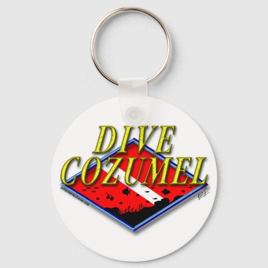 ダイブコスメルキーチェーン キーホルダー (正面)