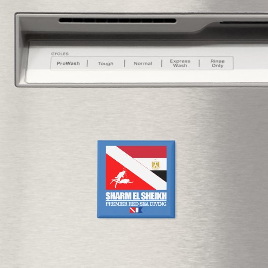 ダイブシャルムエルシェイク(平方) マグネット (インサイチュ (食洗機))