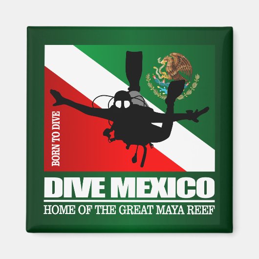ダイブメキシコDF2 マグネット (正面)