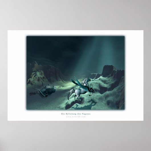 ダイベフレウンデペガサス ポスター (正面)