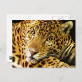 ダイムラーザジャガー ポストカード (正面/裏面)