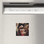 ダイヤモンドのエースでカンニング，詳細 マグネット (インサイチュ (食洗機))