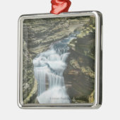 ダイヤモンドの滝の州立公園の眺め メタルオーナメント (左)
