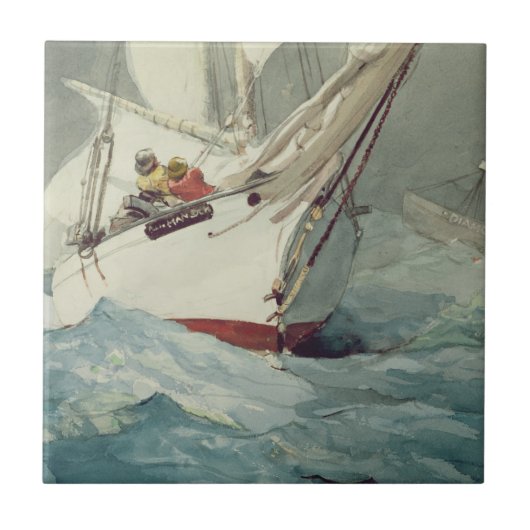 ダイヤモンドの群れ タイル (正面)