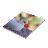 ダイヤモンドの鳩の鳥のタイル タイル (側面)