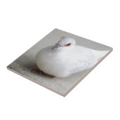 ダイヤモンドの鳩の鳥のタイル タイル (側面)