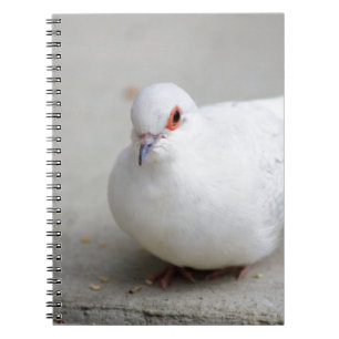 ダイヤモンドの鳩の鳥ジャーナル ノートブック