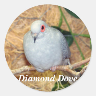 ダイヤモンドの鳩 ラウンドシール