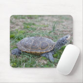 ダイヤモンドガメのカメのmousepad マウスパッド (マウス)
