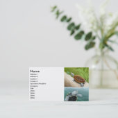 ダイヤモンドガメの名刺 名刺 (スタンド正面)