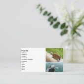 ダイヤモンドガメの名刺 名刺 (スタンド正面)