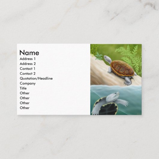 ダイヤモンドガメの名刺 名刺 (正面)