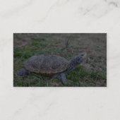 ダイヤモンドガメ 名刺 (裏面)