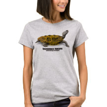 ダイヤモンドガメ(Malaclemysのテラピン)