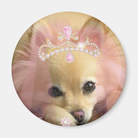ダイヤモンドクラウンを持つ妖精の王女の犬 マグネット (正面)